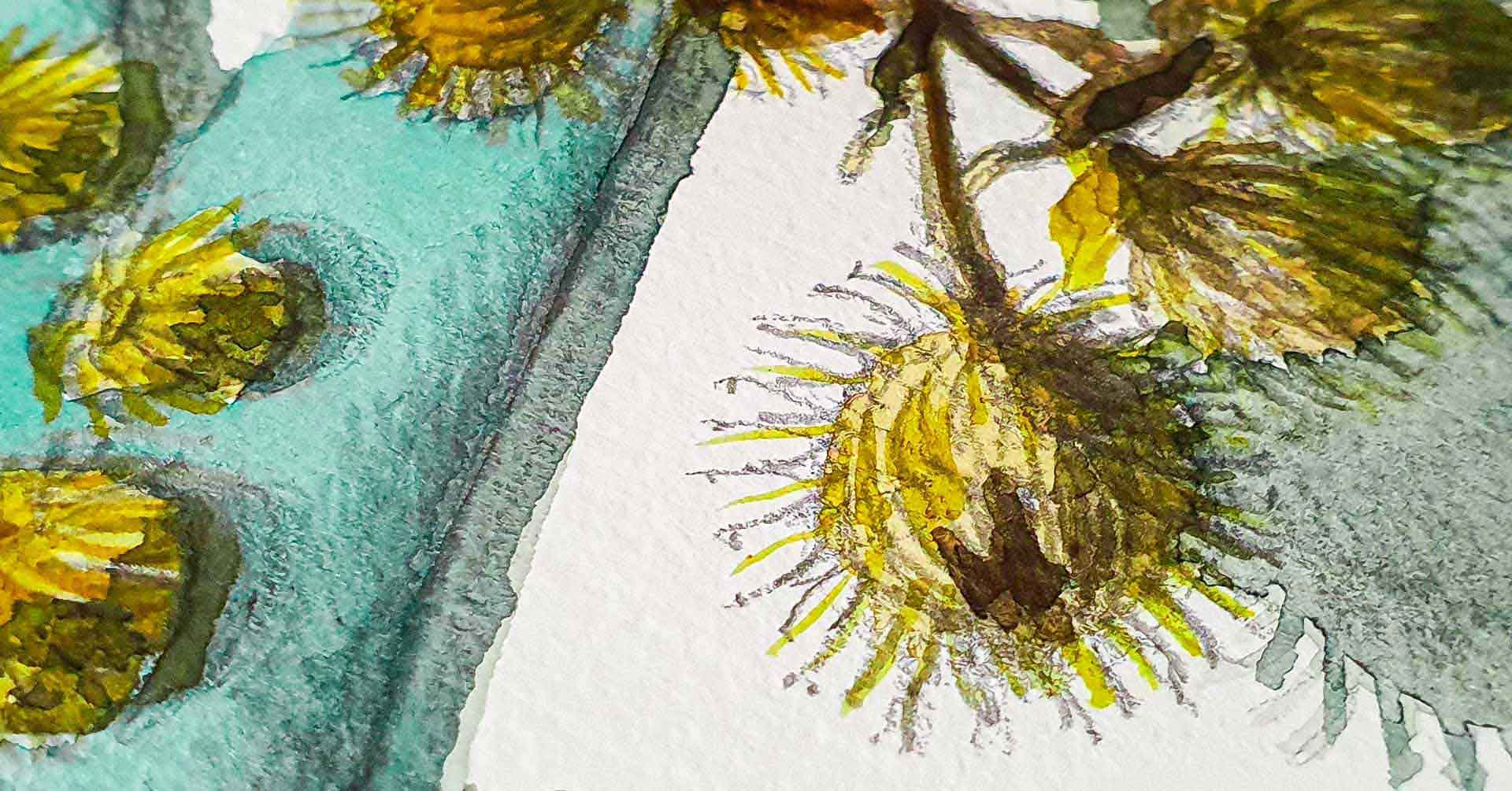 Workshop Tekenen met de natuur als inspiratie!