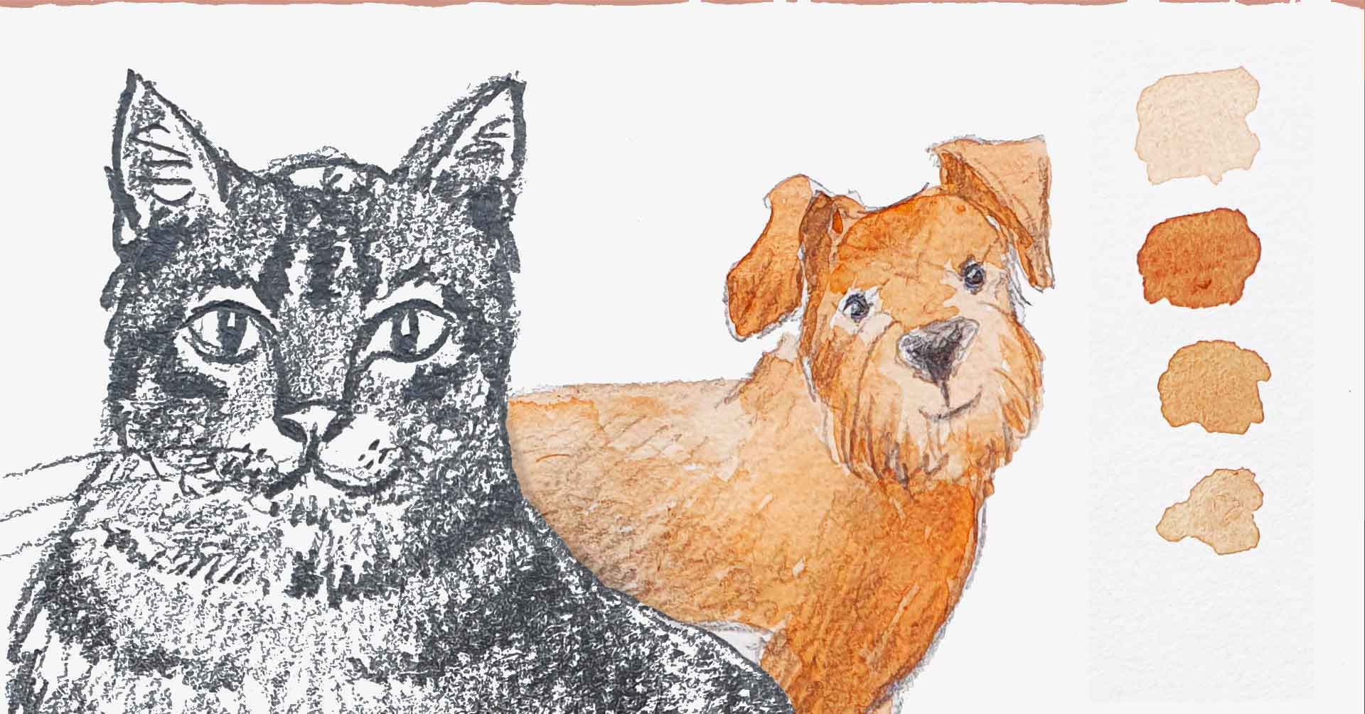 Workshop "Eenvoudig jouw huisdier tekenen"
