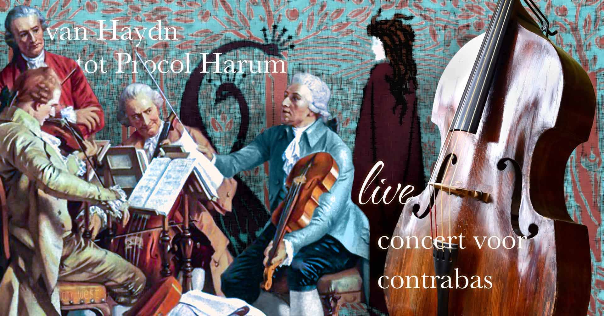 Van Haydn tot Procol Harum - concert voor contrabas - live