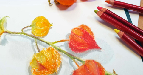 Start Drawing!